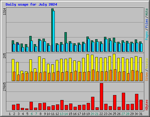 Daily usage for July 2024