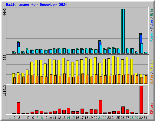 Daily usage for December 2024