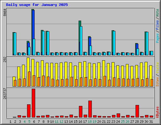 Daily usage for January 2025